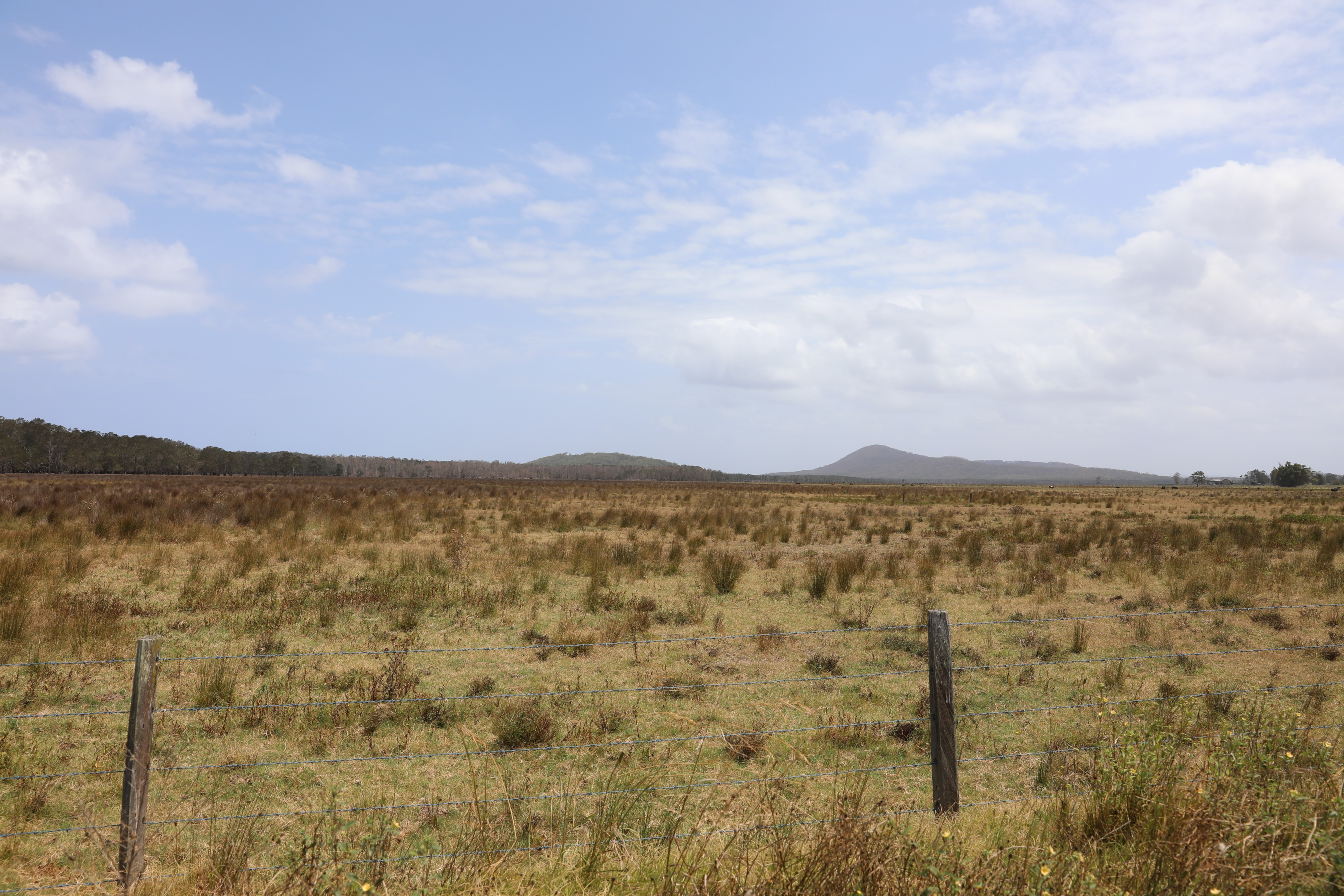 2020 01 12 13 51 27 Canon EOS 5D Mark IV 0020